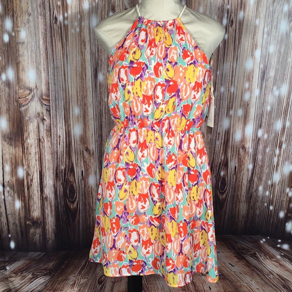 NWT Altar’d State Sleeveless Floral Dress Medium - Picture 1 of 3